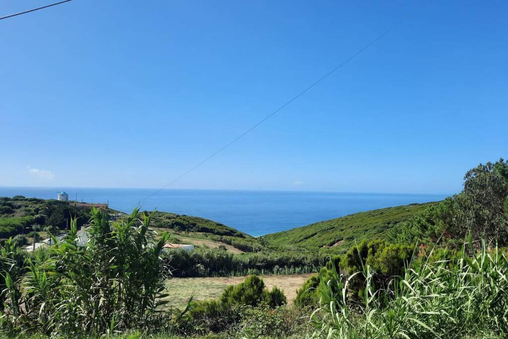 Sunflower Sea View With Magnificent Terrace In Serra Da Pescaria, Nazare - Portugal Exterior foto